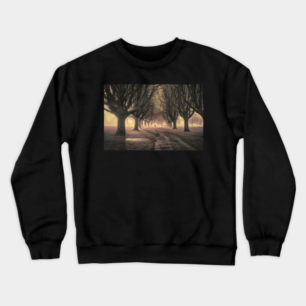 Llandaff Fields#3 Crewneck Sweatshirt by RJDowns